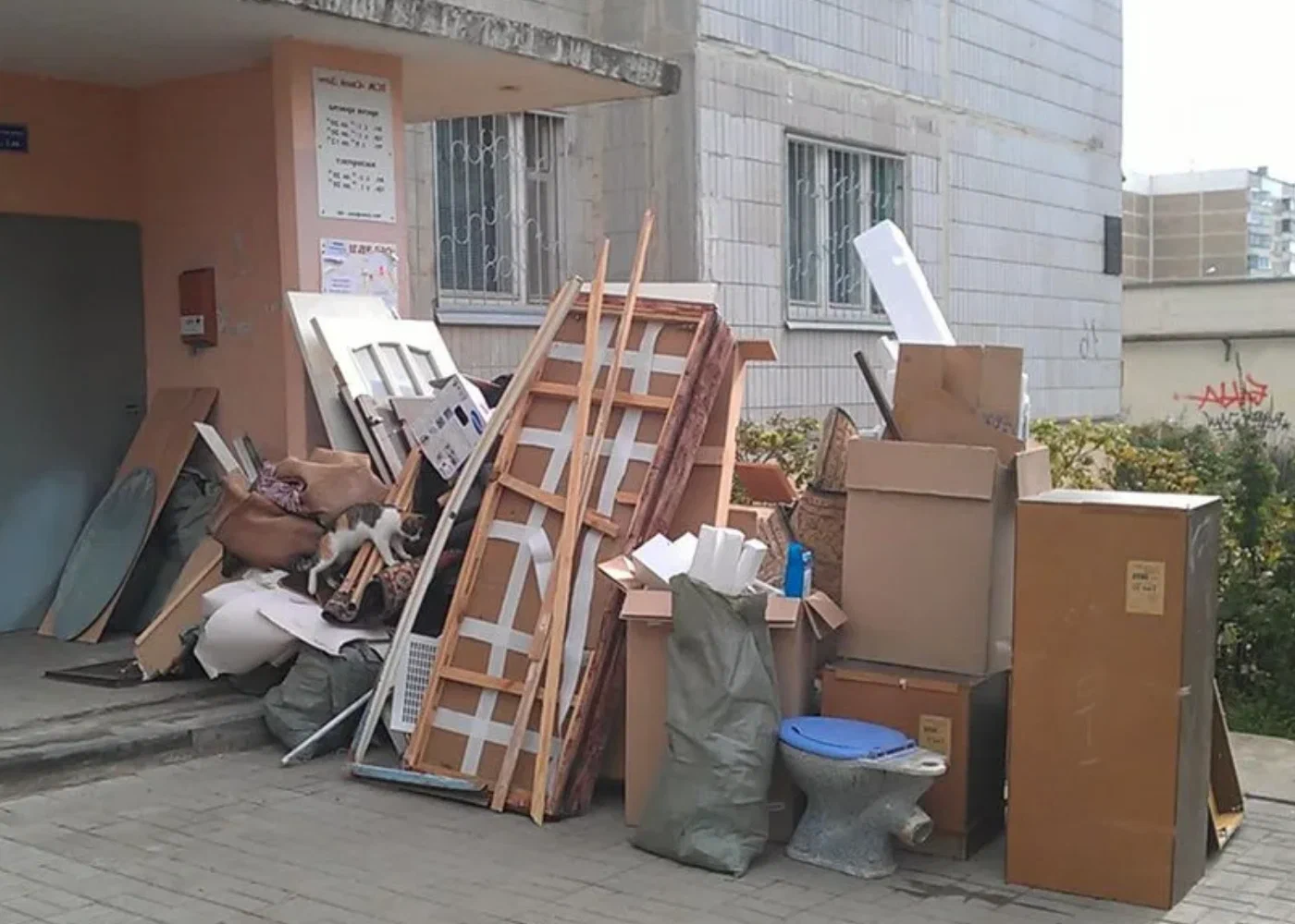 Профессиональный вывоз мусора из квартиры в Каменске-Уральском в октябре