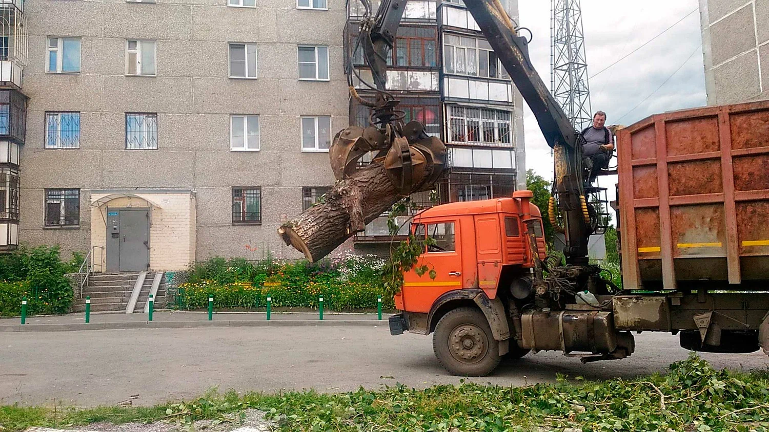 Вывоз спиленных веток и деревьев в Каменске-Уральском от ПроМусор: порубочные остатки, утилизация, цена от 3085 руб