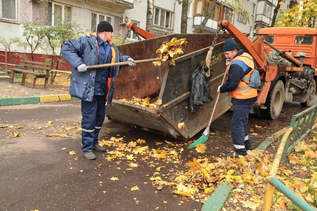 Вывоз опавшей листвы и растительного мусора в Каменске-Уральском от ПроМусор – цена от 4787 руб., быстрая уборка и утилизация
